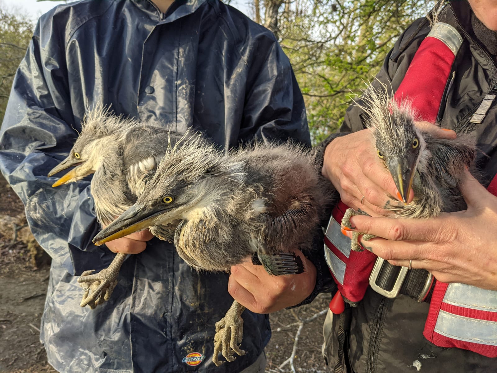 PHOTO 2021 03 24 13 08 34
